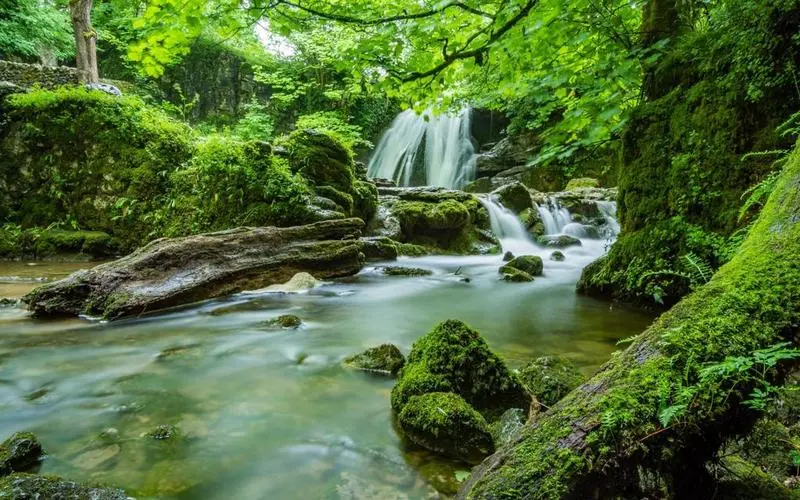 可靠性先进高性能